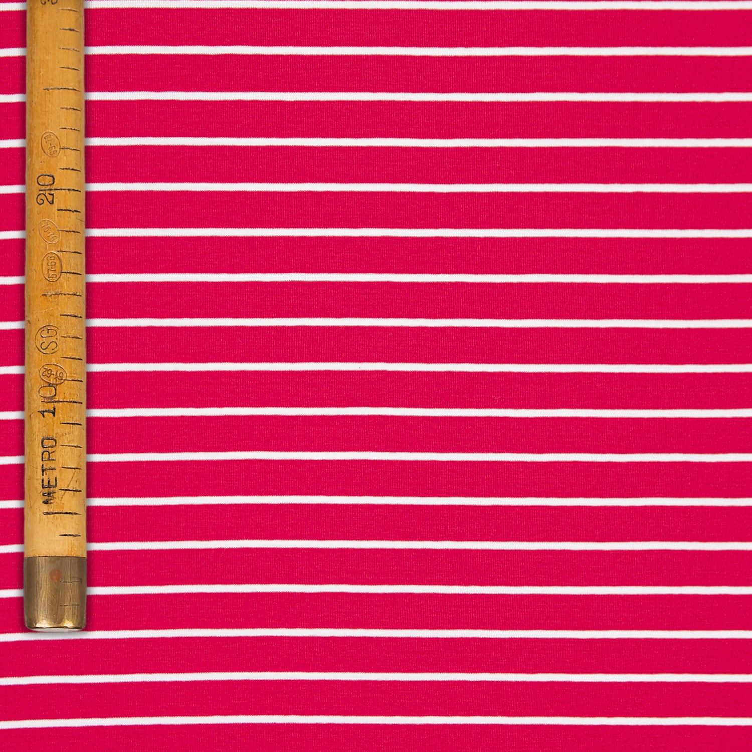 Stretch Cotton Jersey - Stripe - Christopher Columbus