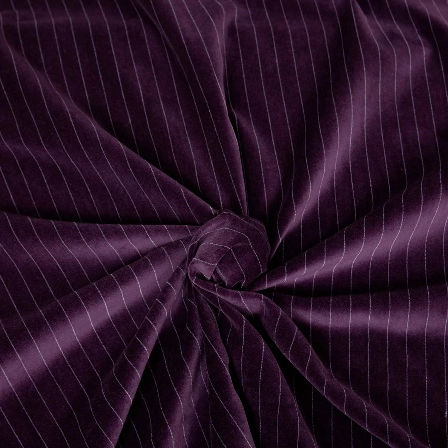 0.5 cm Pinstripe Velvet - Lidia